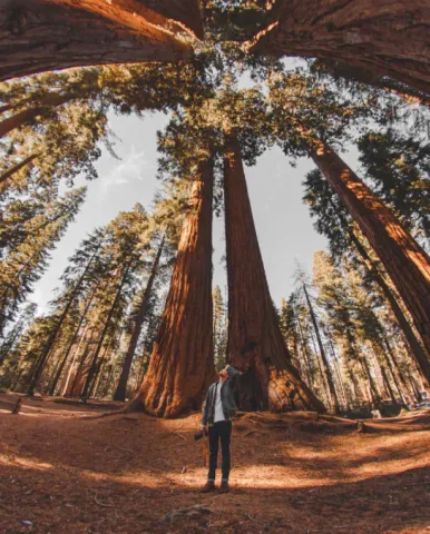 Sequoia National Park